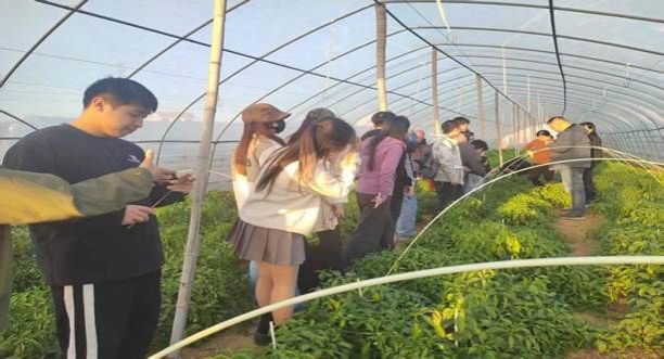 微信图片_20251203154800_113_39