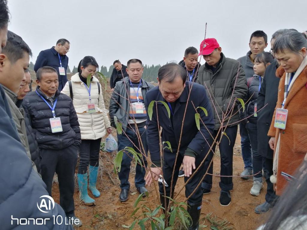 图三 在杉山“伍妹子”休闲农庄现场授课