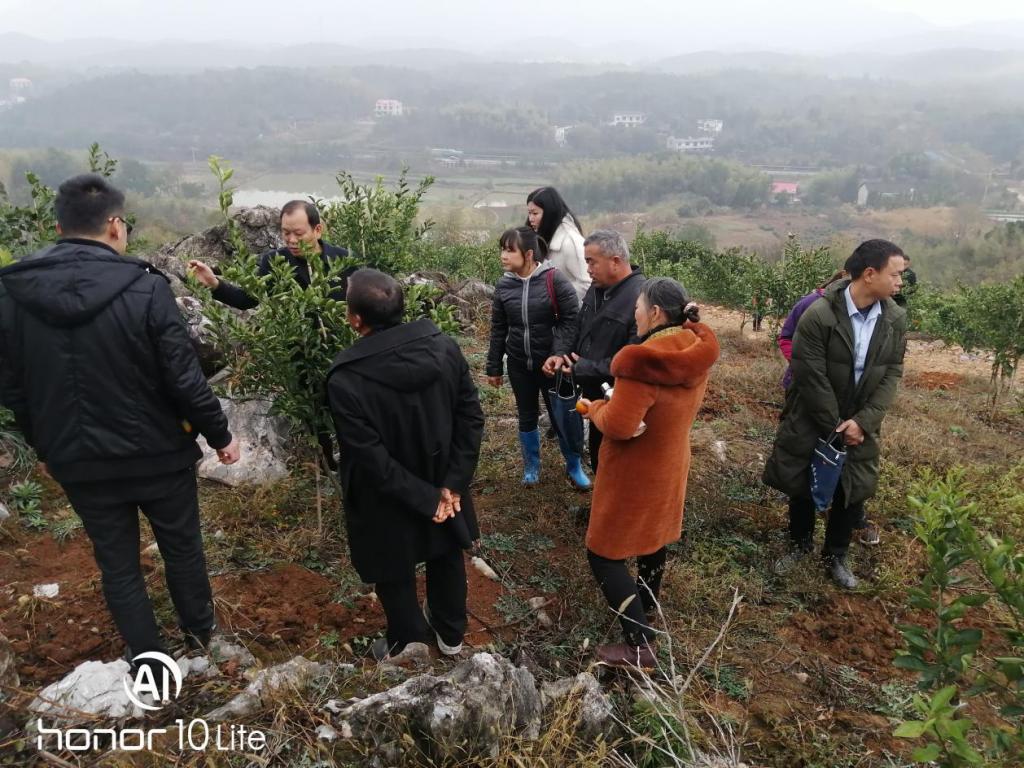 图一 在双峰走马街的“湘盛农业”交流生产与经营体会