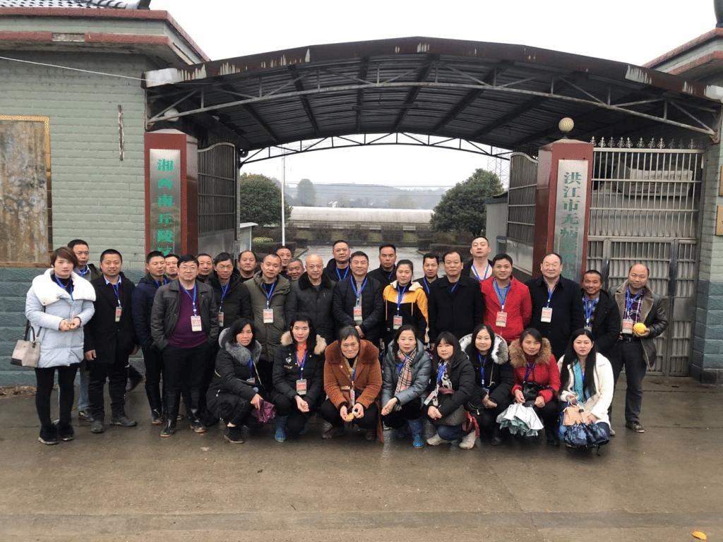 图一洪江考察之行