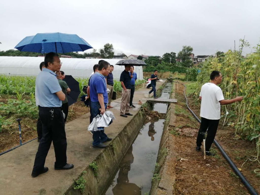 专家组现场考察、取样