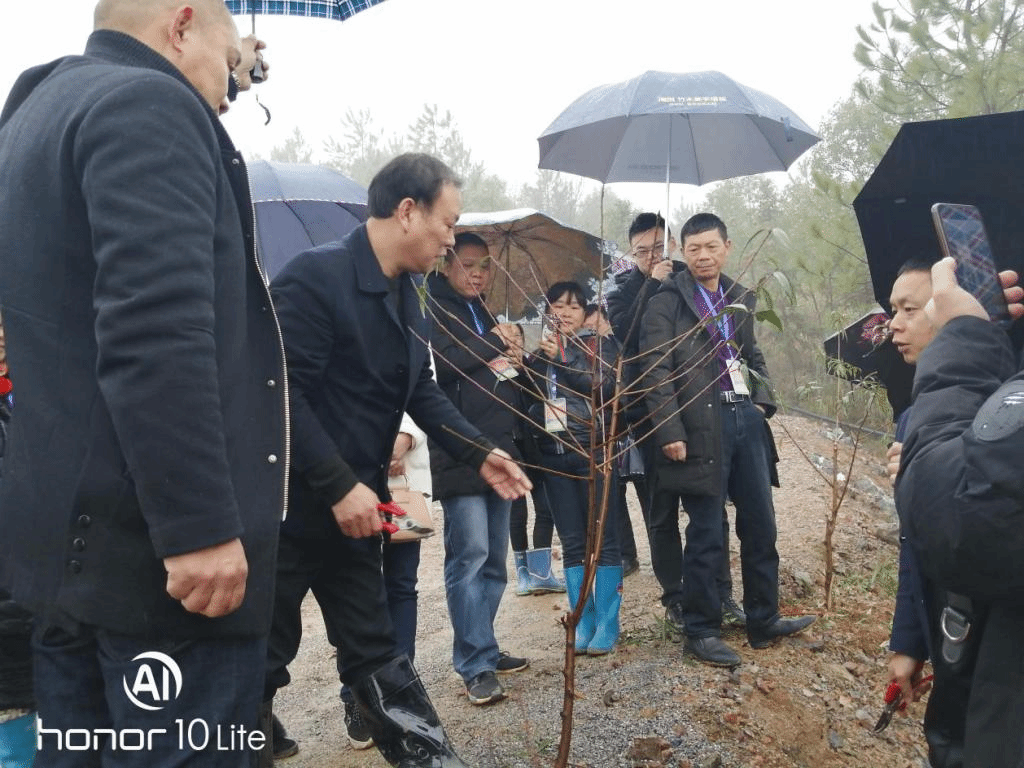 图二 在蛇形山的龙嘉权农业公司现场授课